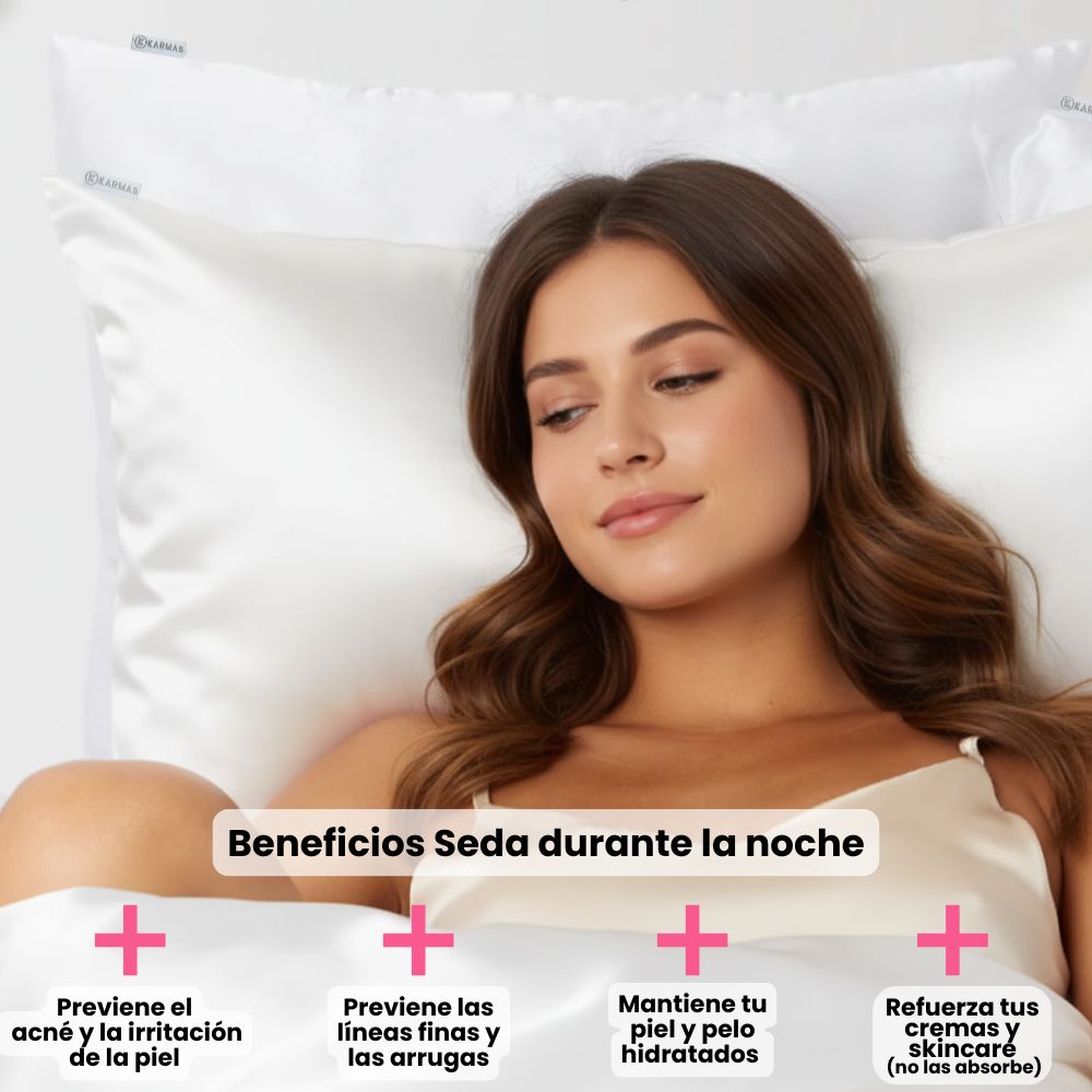 Funda de Almohada Seda Mulberry King 19 mommes