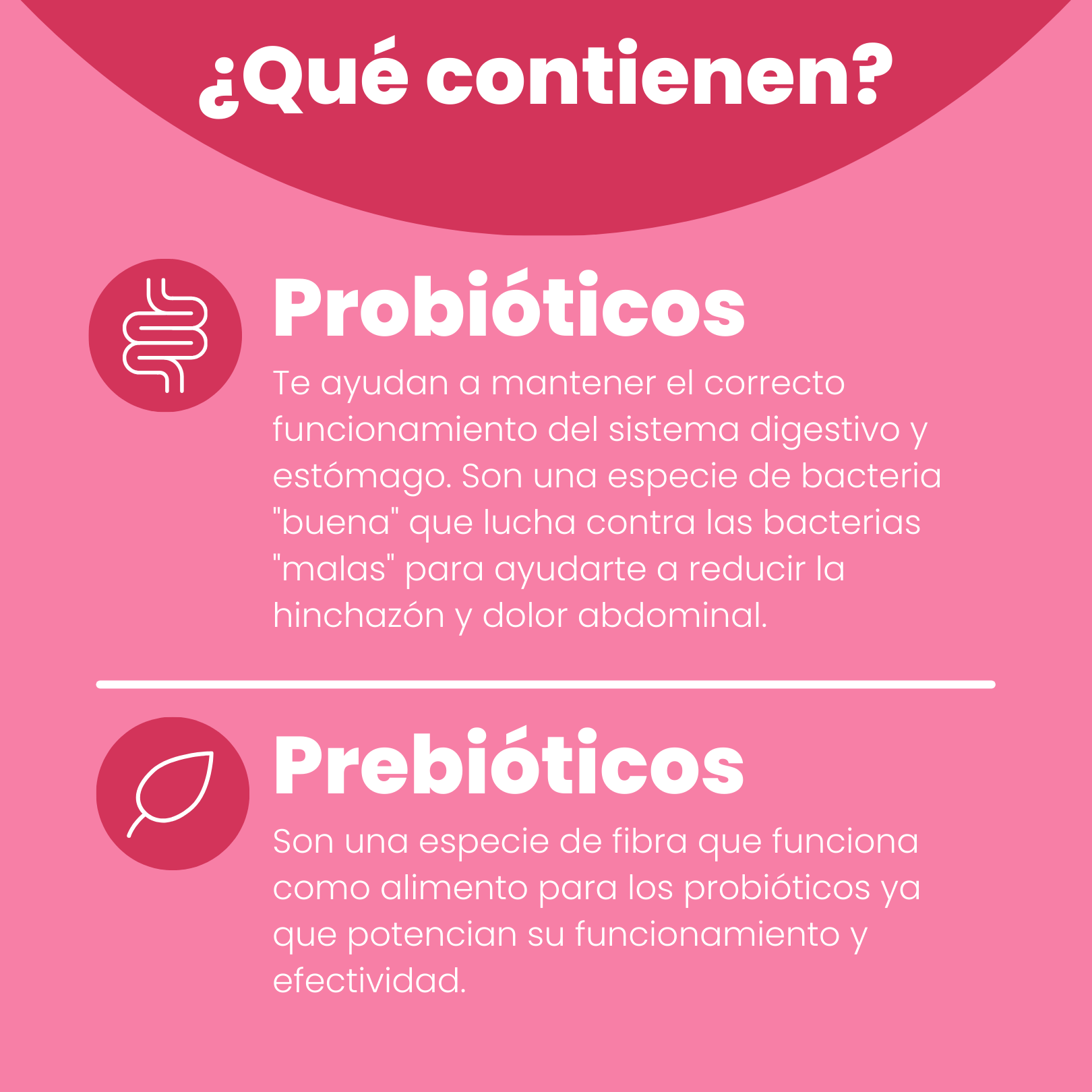 Gomitas Eterna De Probióticos + Prebióticos: 60 Días