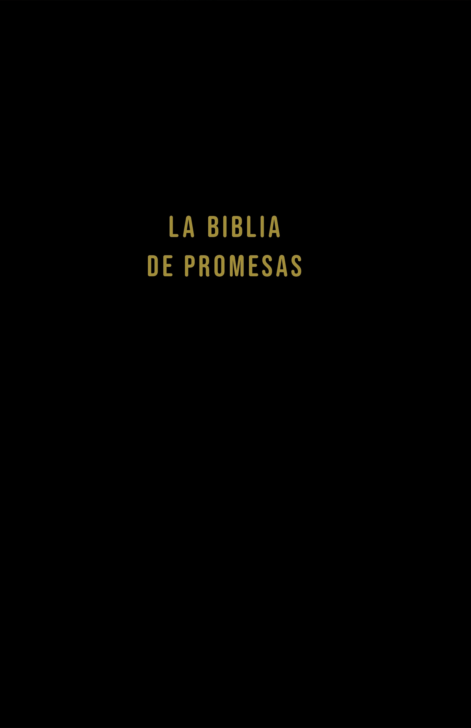 Biblia NVI promesas negra