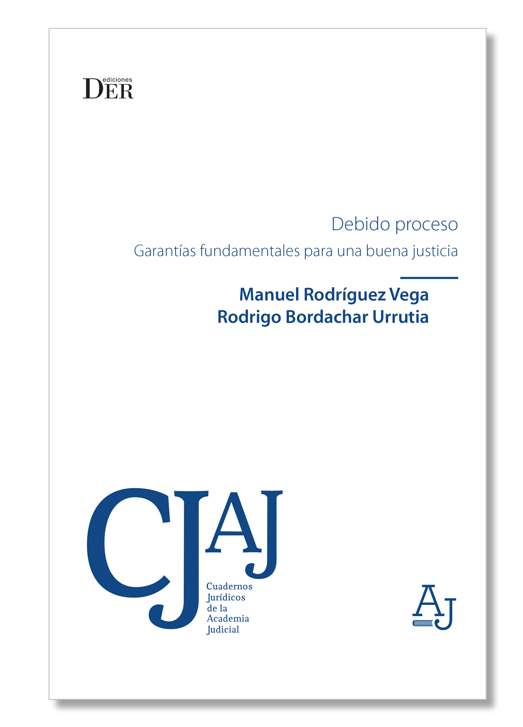 Debido Proceso. Garantías fundamentales para una buena justicia