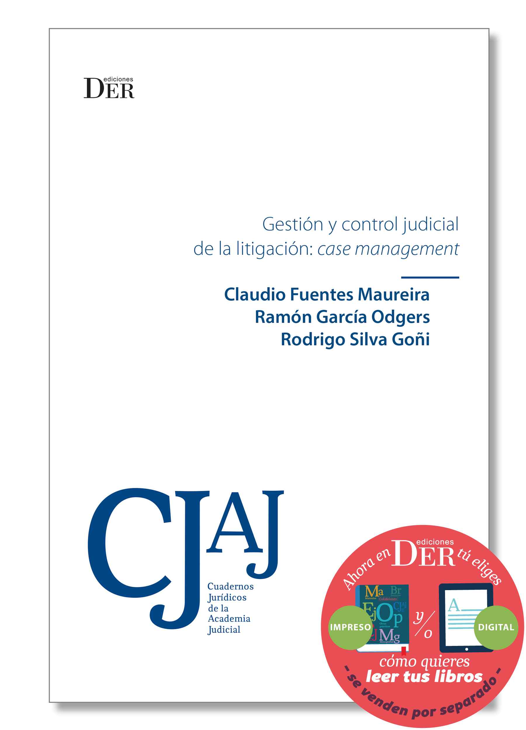 Gestión y control judicial de la litigación: Case Management