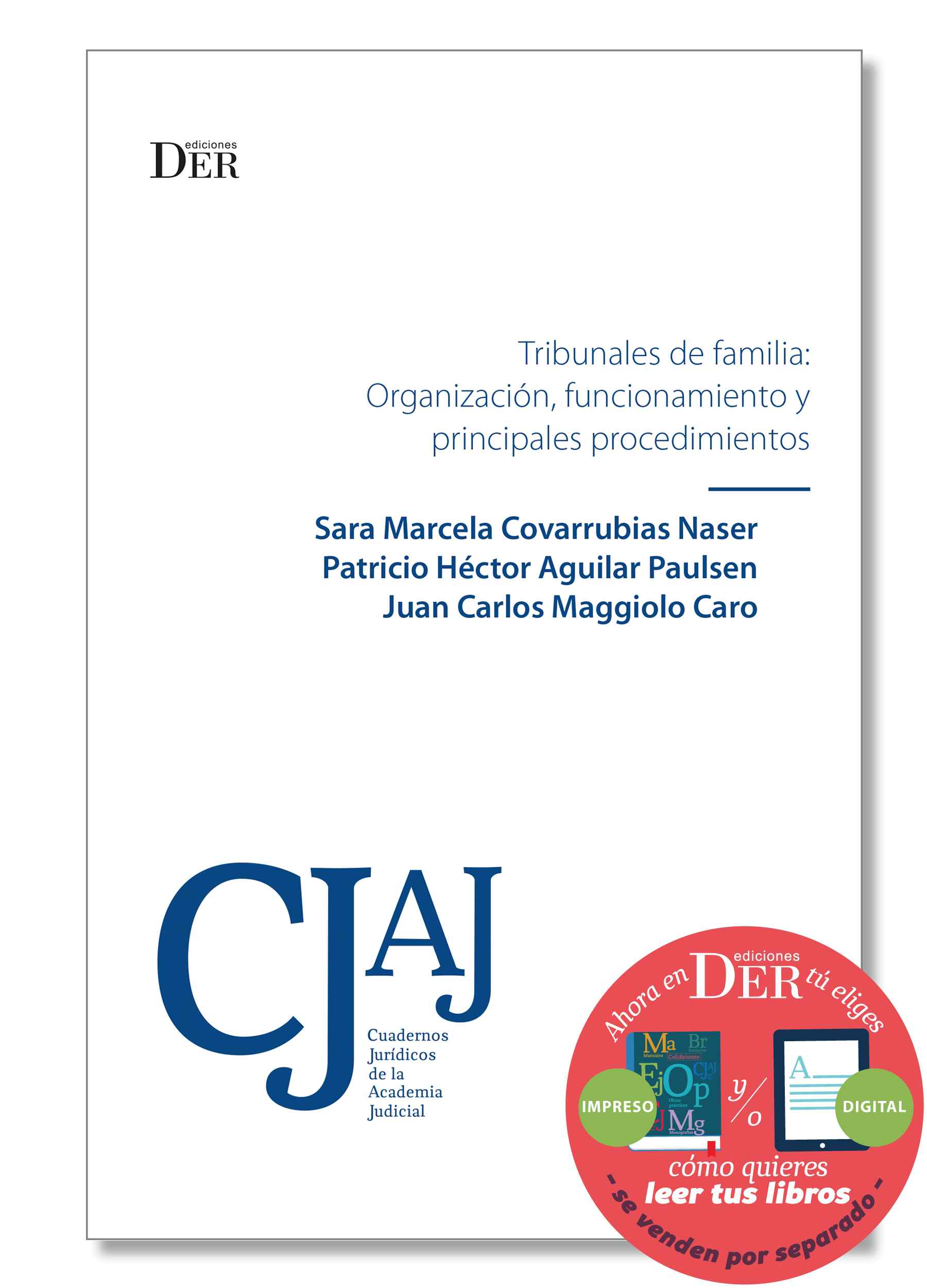 Tribunales de Familia: organización, funcionamiento y principales procedimientos