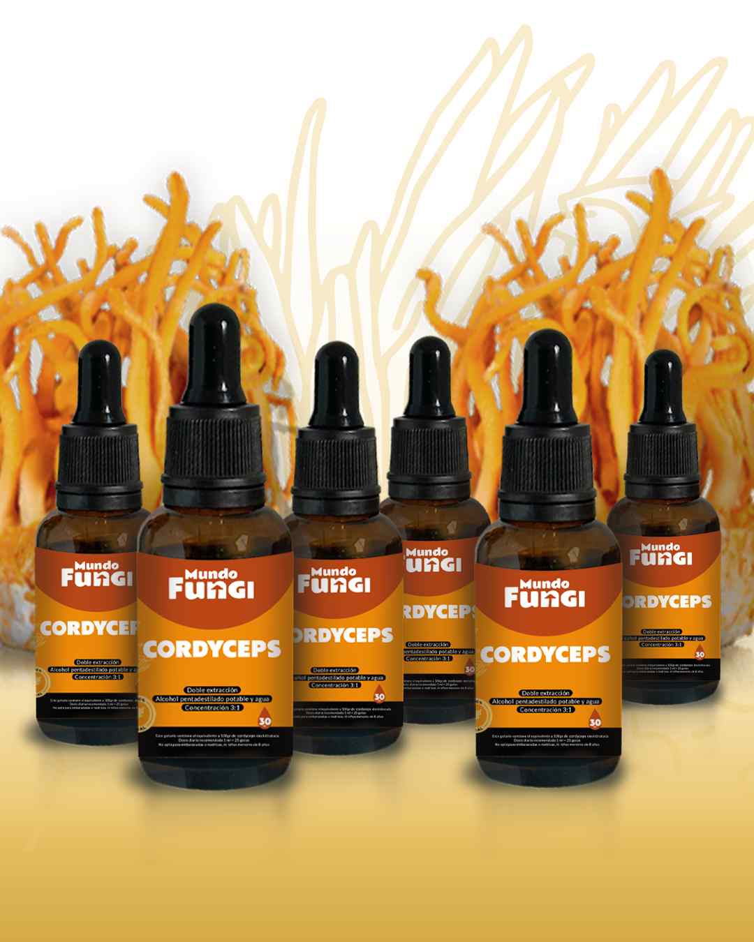 Extracto Cordyceps Gotas - Ultra Concentrado