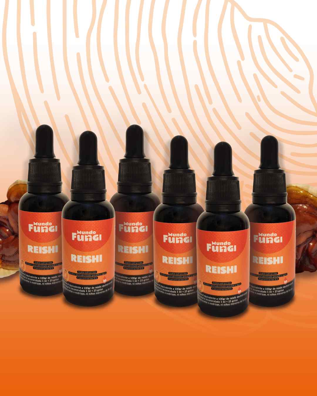 Extracto Reishi Gotas - Ultra Concentrado